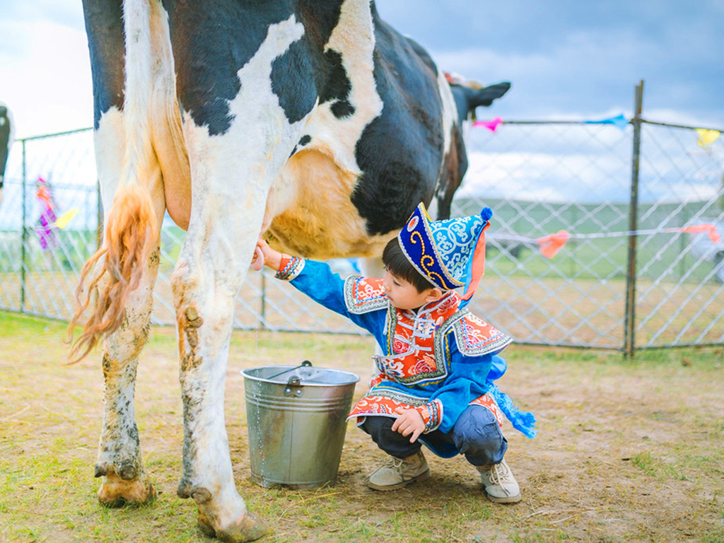  呼伦贝尔大草原 满洲里 阿尔山双飞6日游>1单1团两人起订,4人免费升