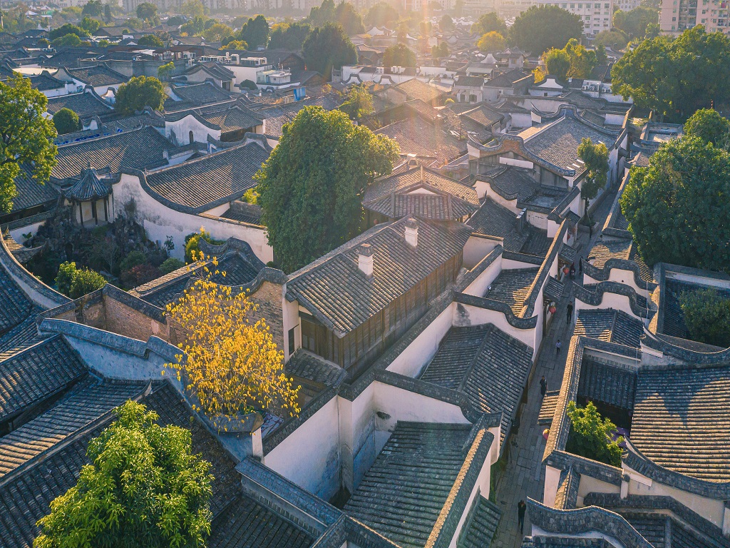 活动模块 