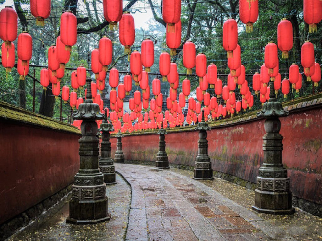 活动模块 