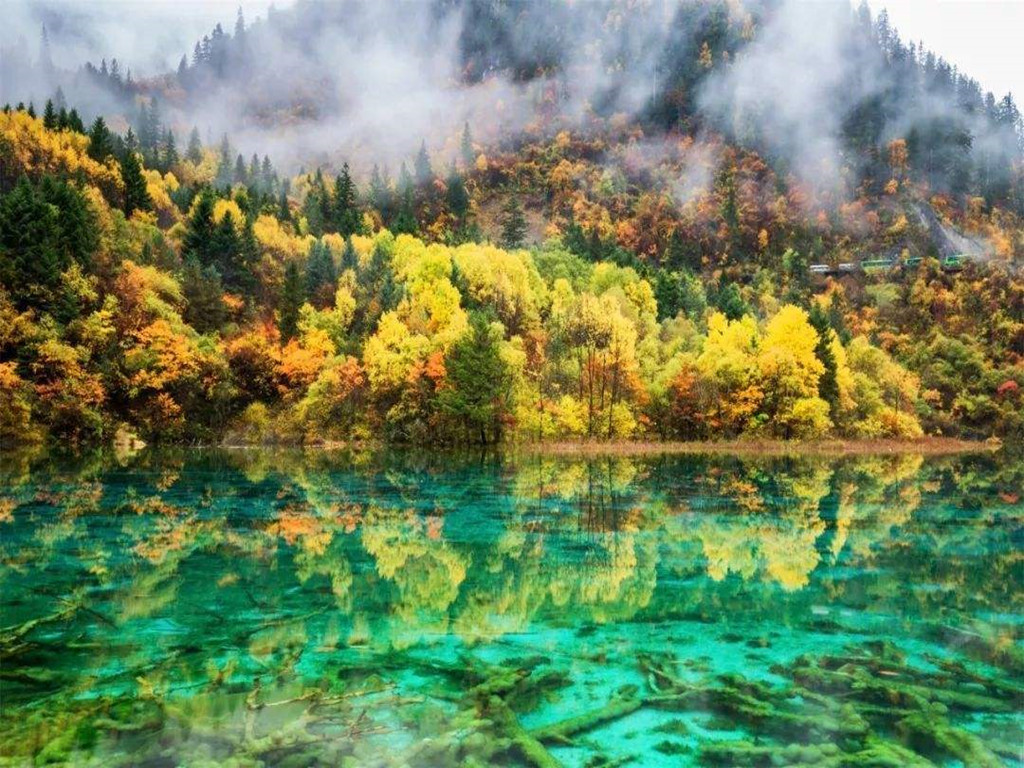 景点模块 