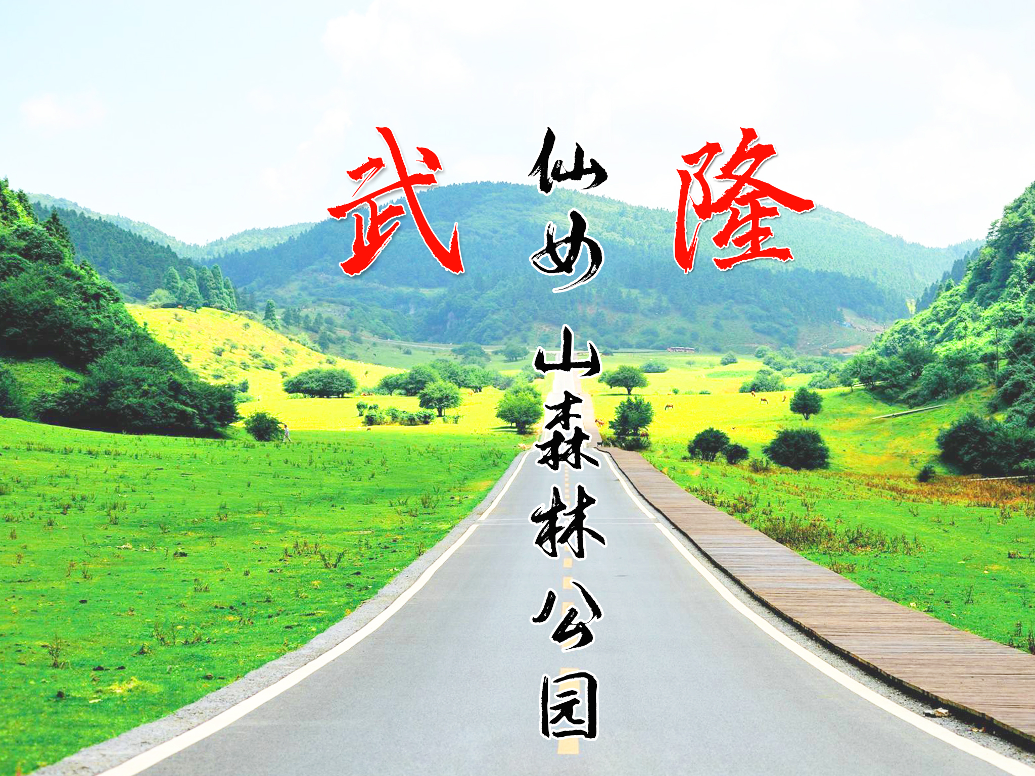 [端午]<重庆市内+武隆仙女山+天生三桥3日游>住4星酒店/上门接6人小团/2人起订/懒睡不早起/避开人流/可升级2/3人小团不与陌生人拼