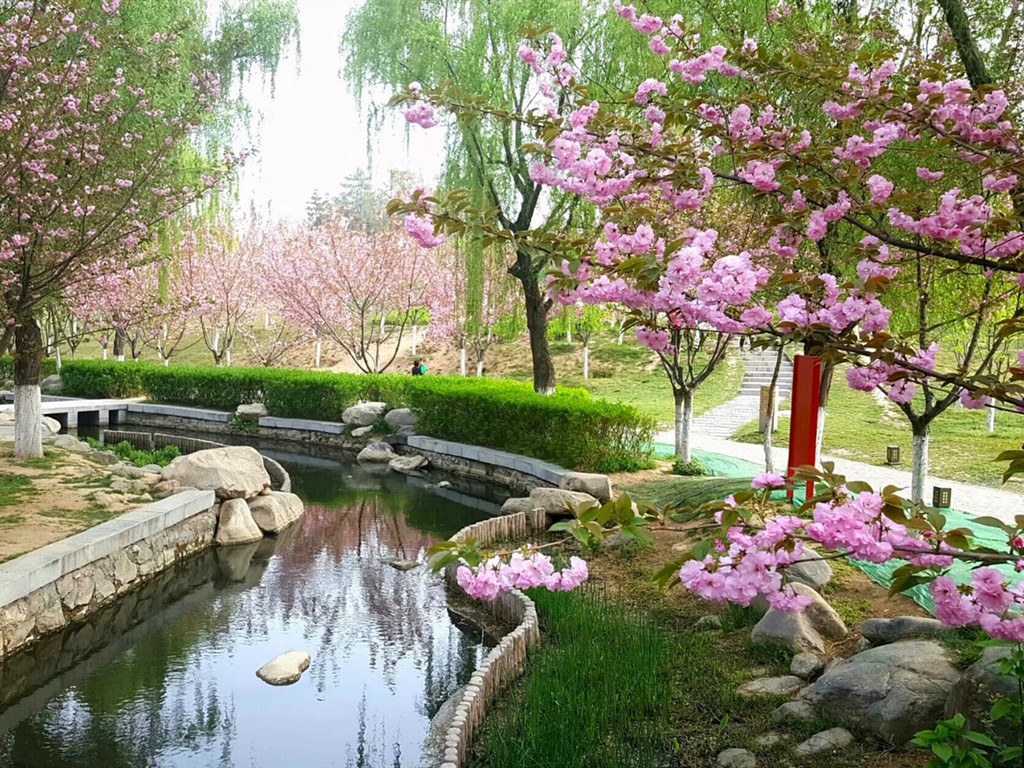 景点模块 