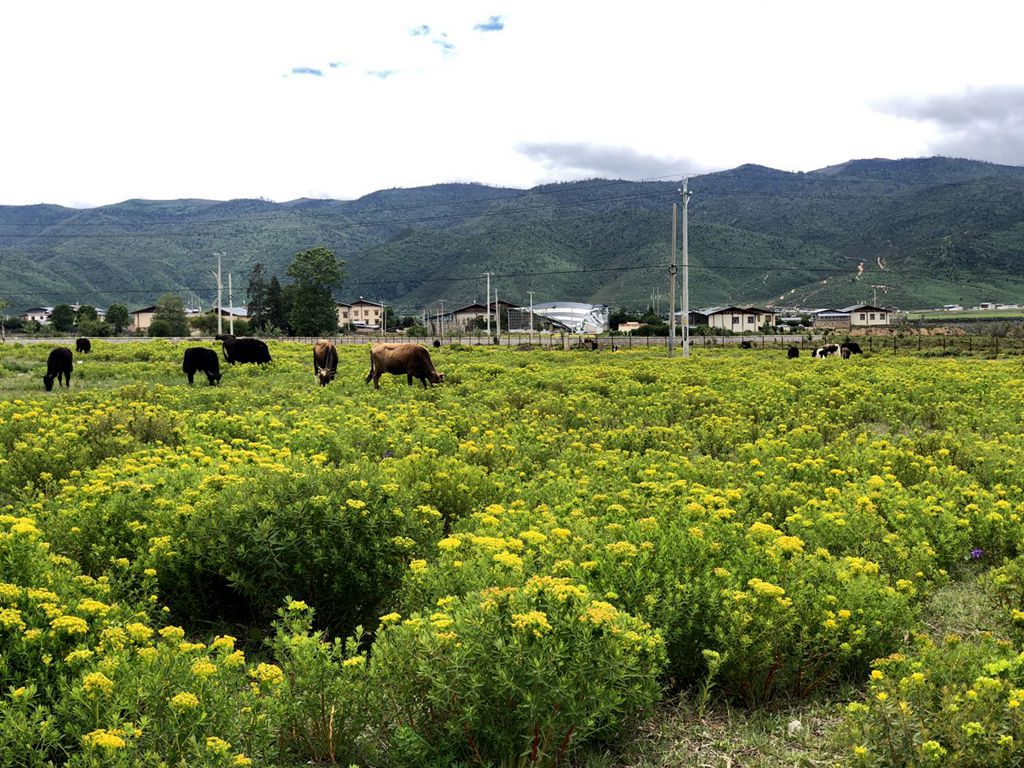 景点模块 