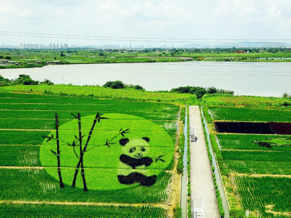 景点模块 