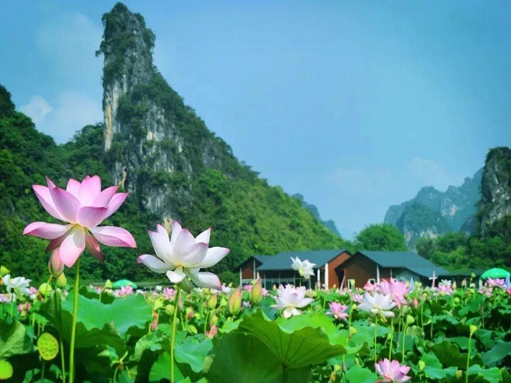 景点模块 