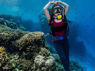 布纳肯 景点模块