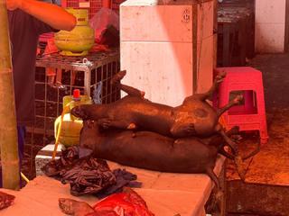 山顶集市 景点模块