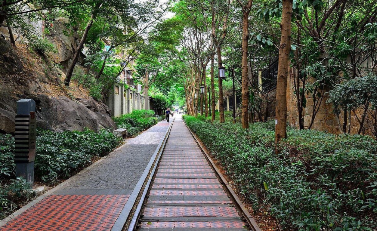 活动模块 