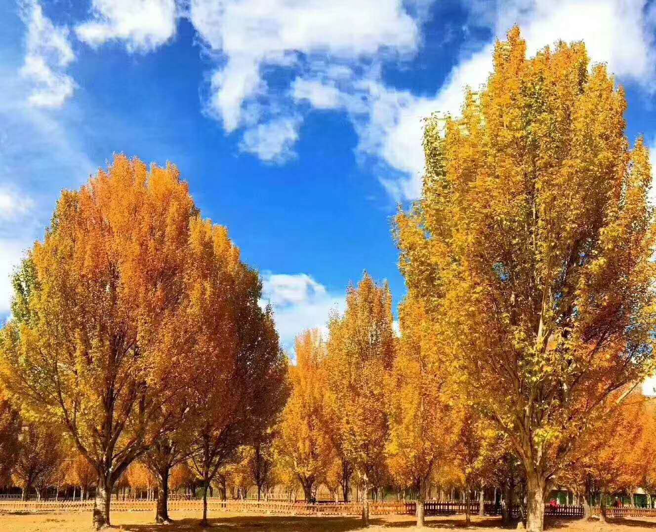 小交通模块 