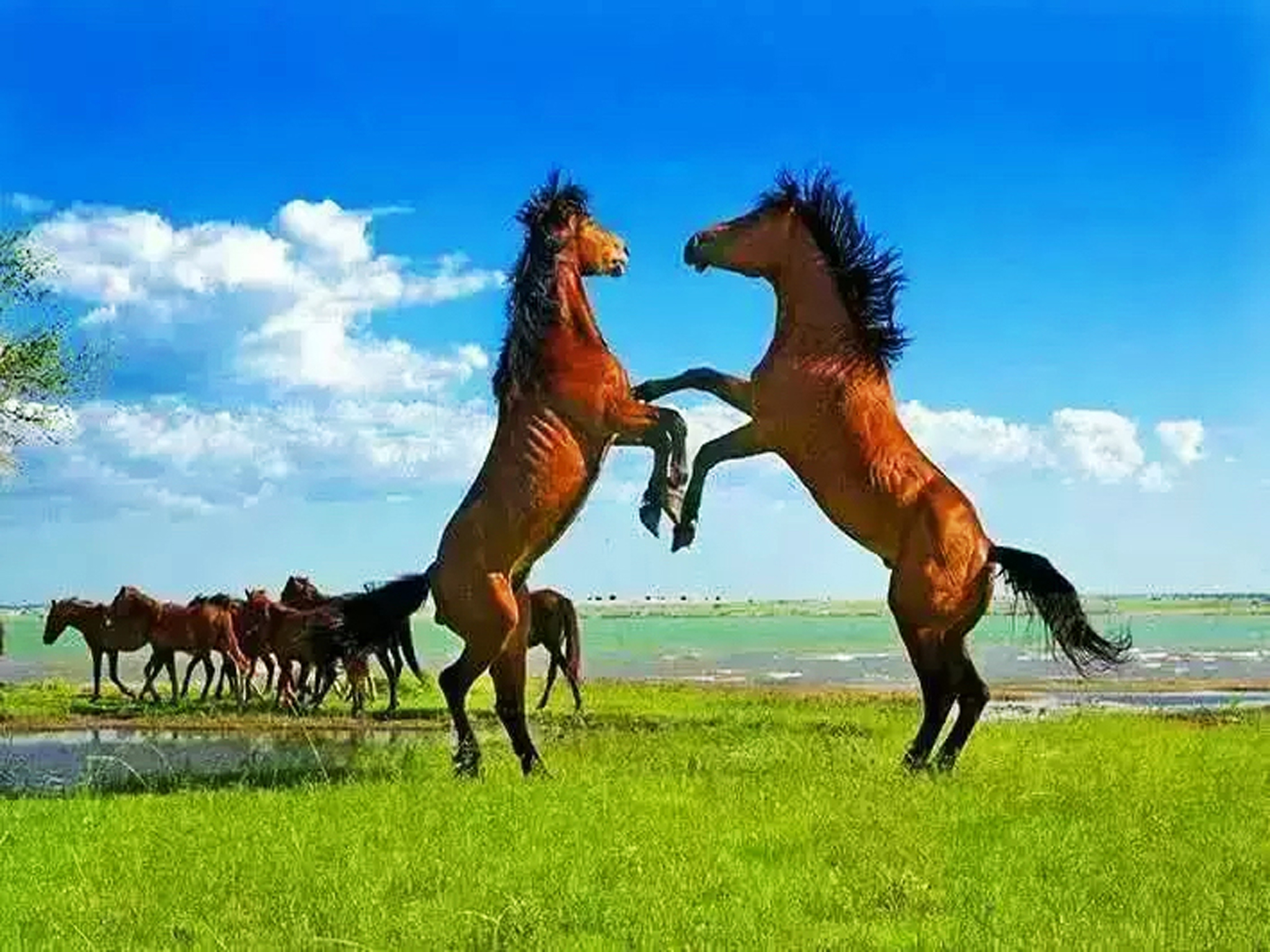 景点模块 