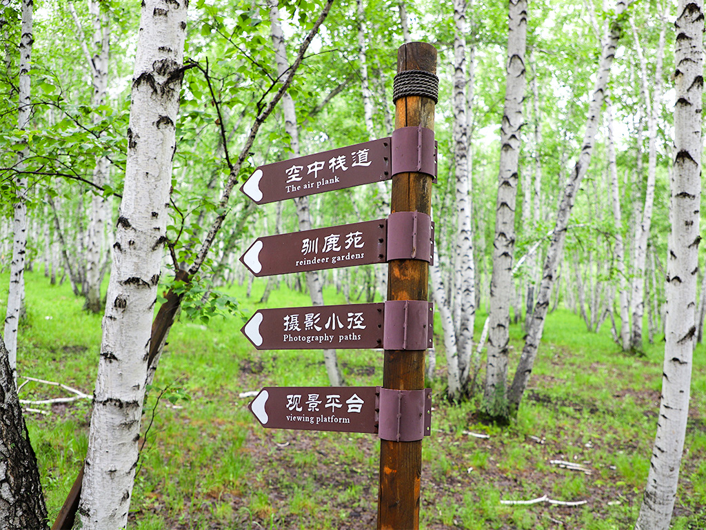 活动模块 