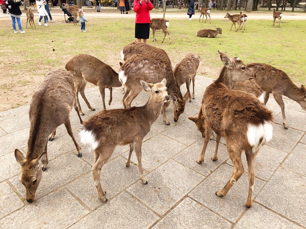 景点模块 