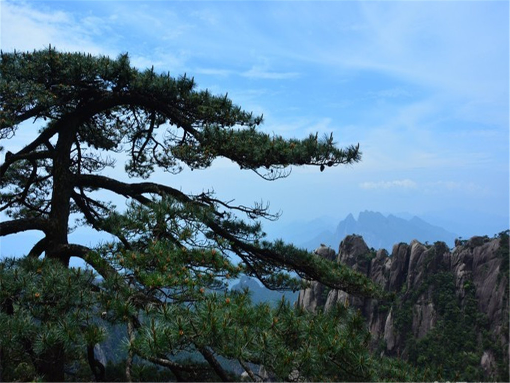 景点模块 