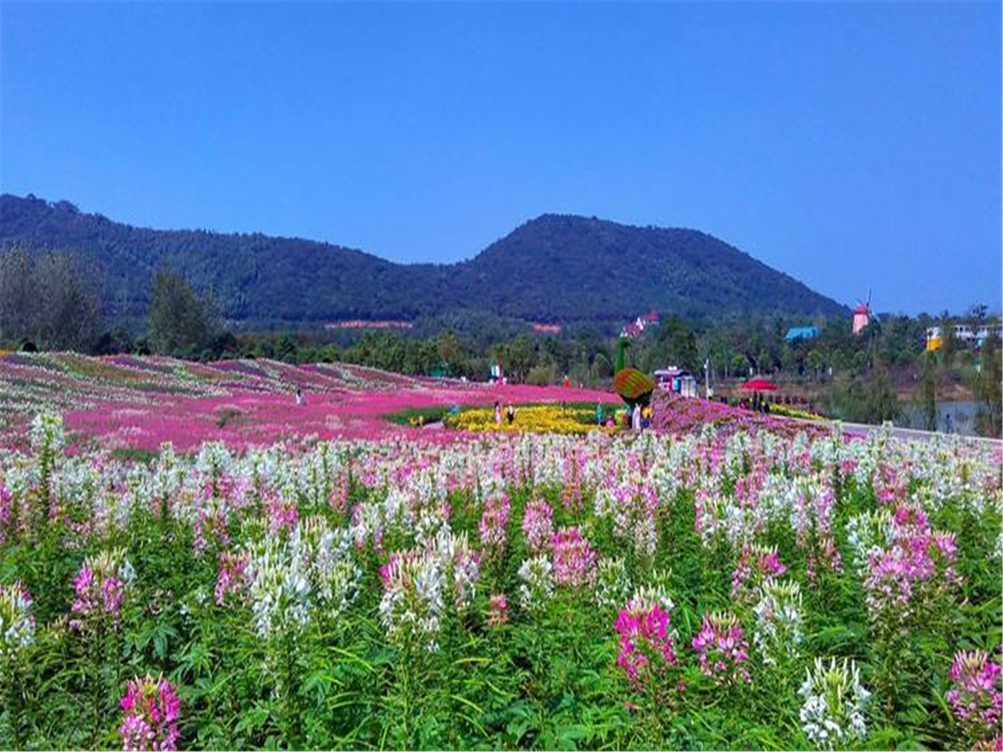 <伊春+乌伊岭湿地+汤旺河石林+上甘岭溪水+哈尔滨软卧7日游>爸妈游，软卧往返，0购物0自费，伊春随团当地医护陪同