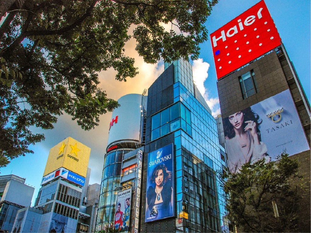 活动模块 
