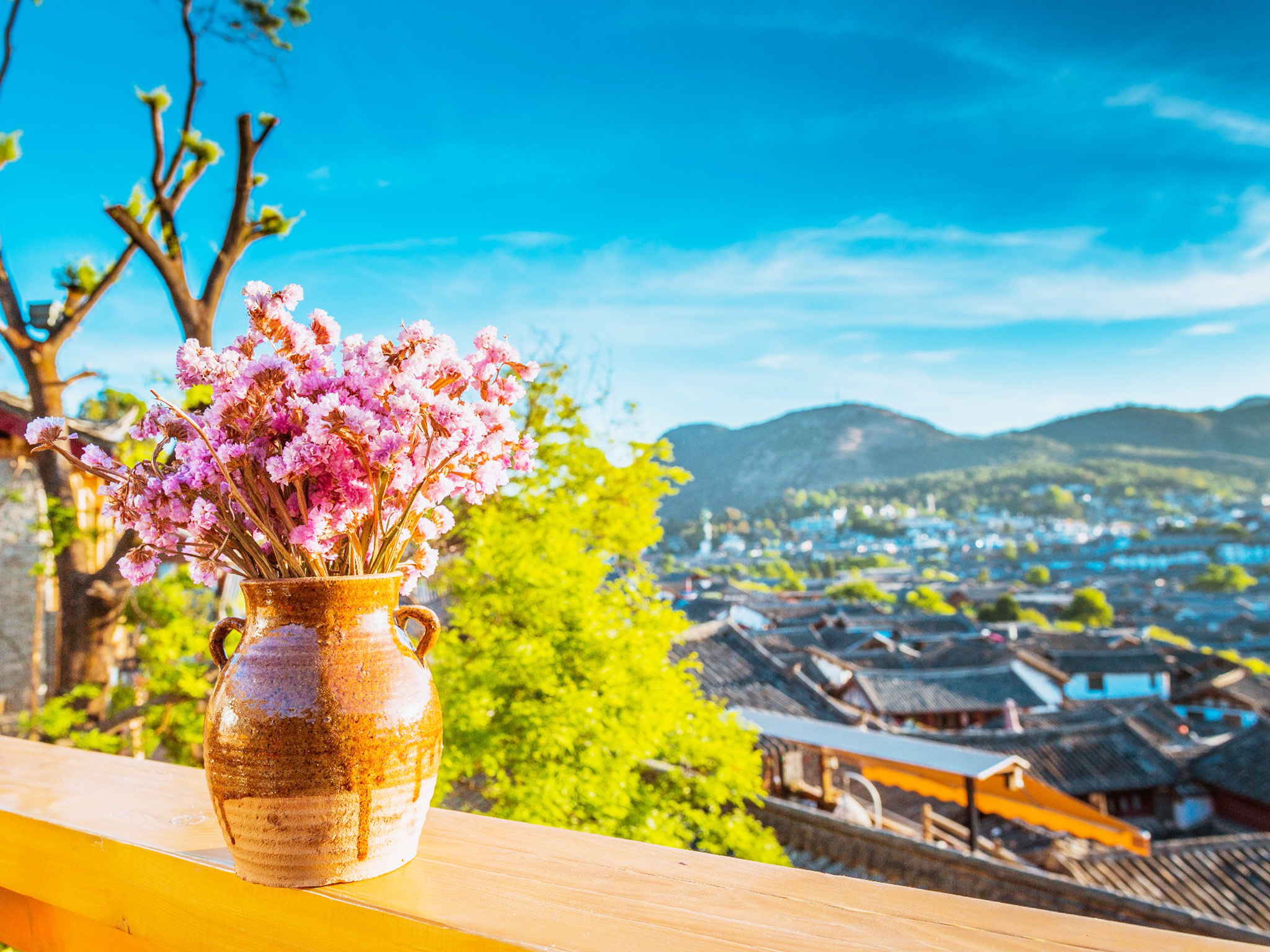 活动模块 