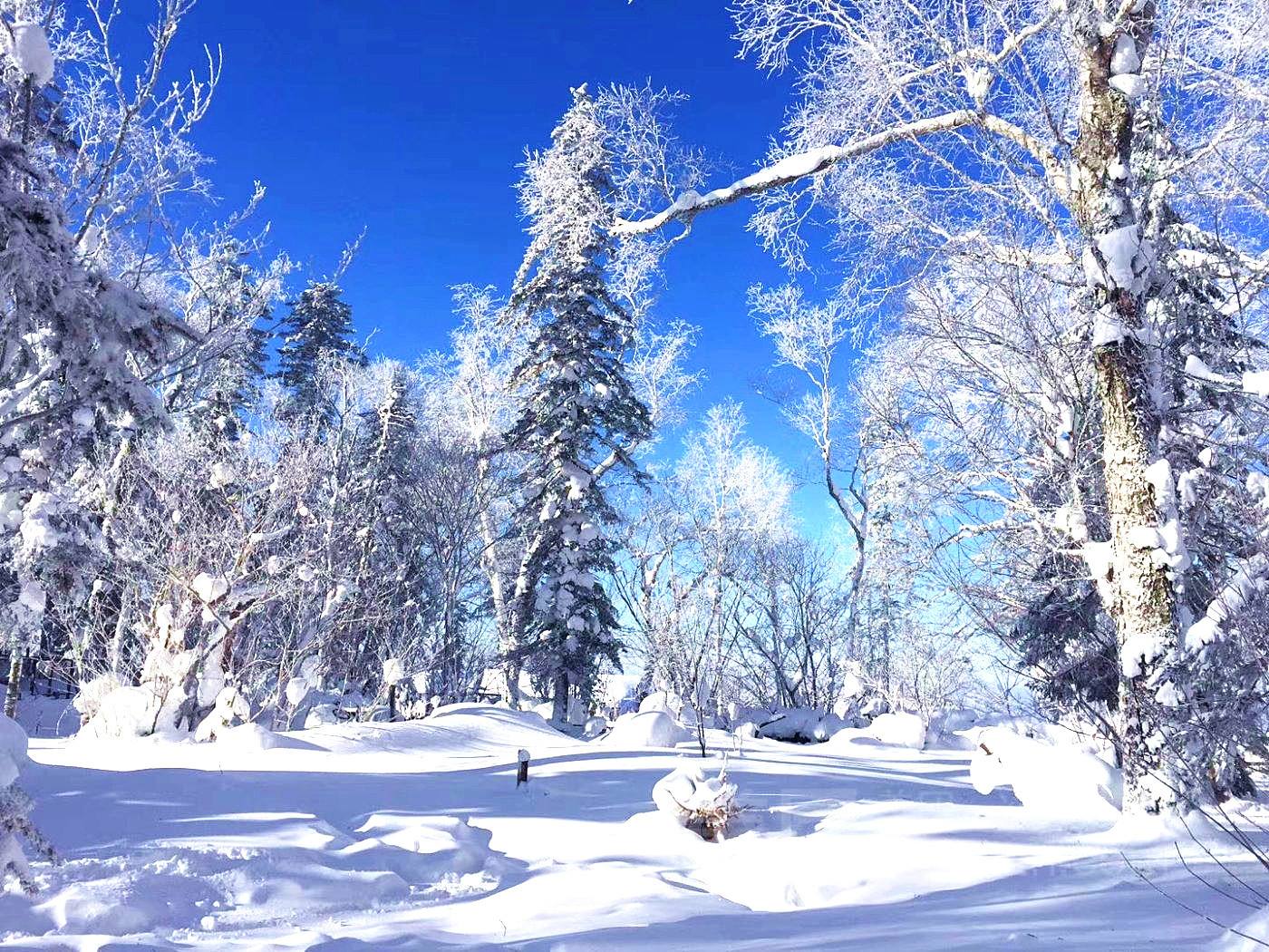 冰雪画廊和十里画廊图片