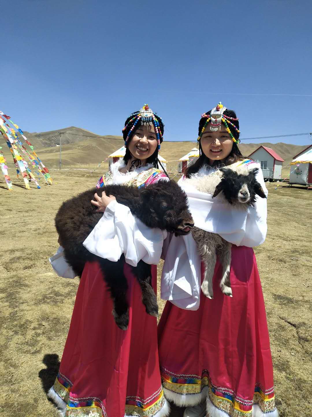 活动模块 