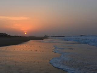 西南海滨 景点模块