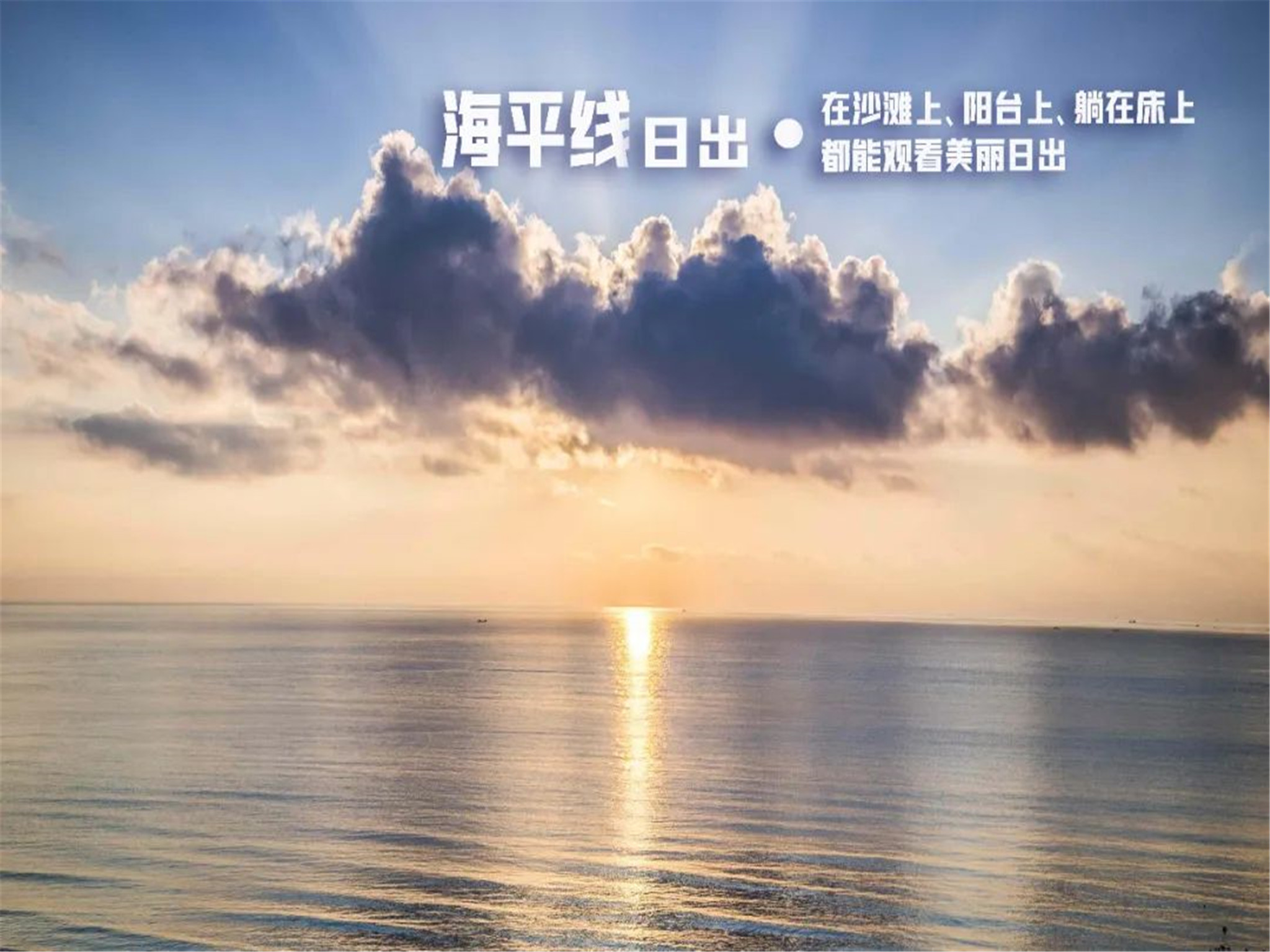 活动模块 