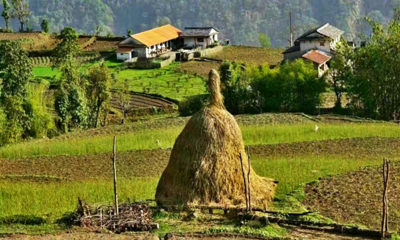 景点模块 