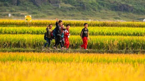 贵阳5日游_贵州黄果树瀑布7日旅游报价_深圳贵州黄果树瀑布旅游包团价格_贵州黄果树瀑布7天旅游