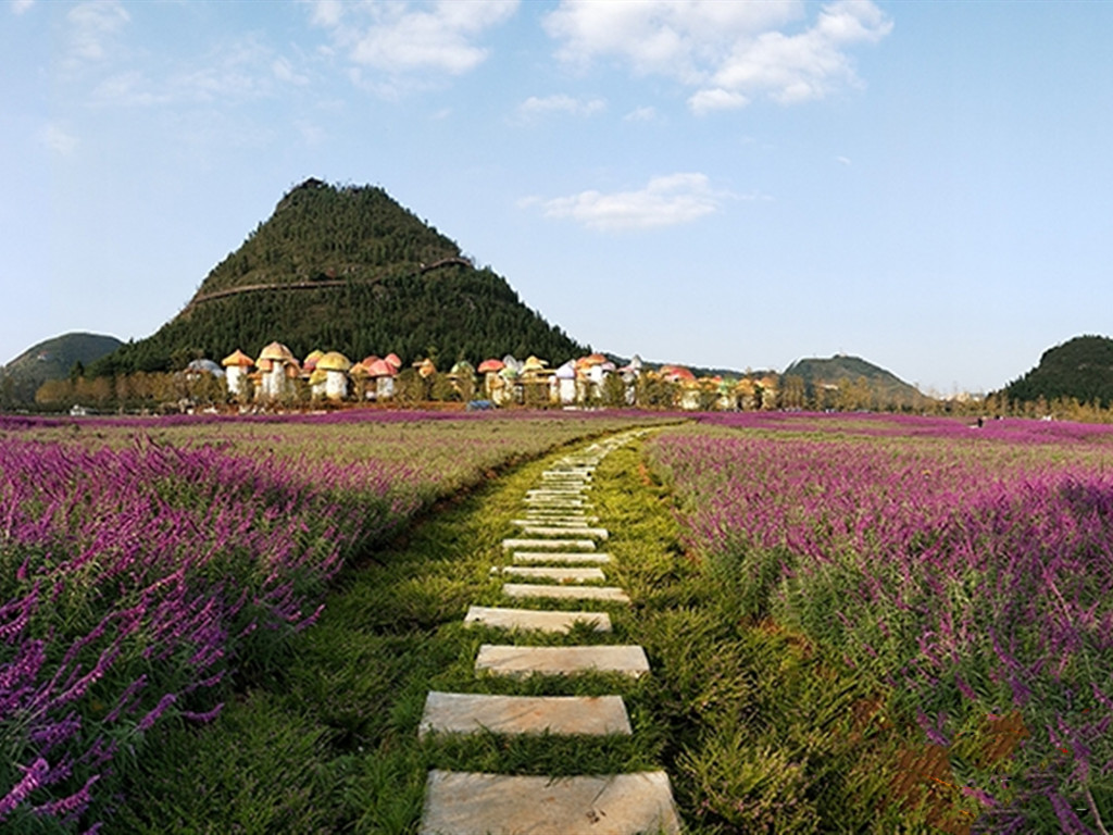 景点模块 