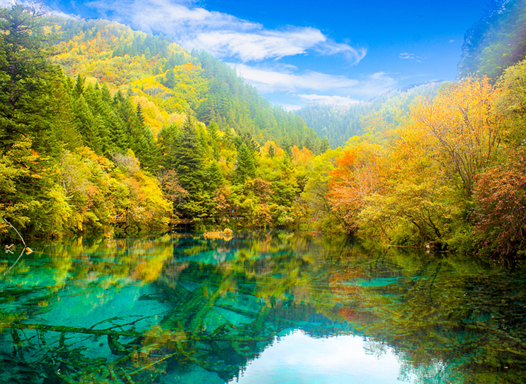 景点模块 