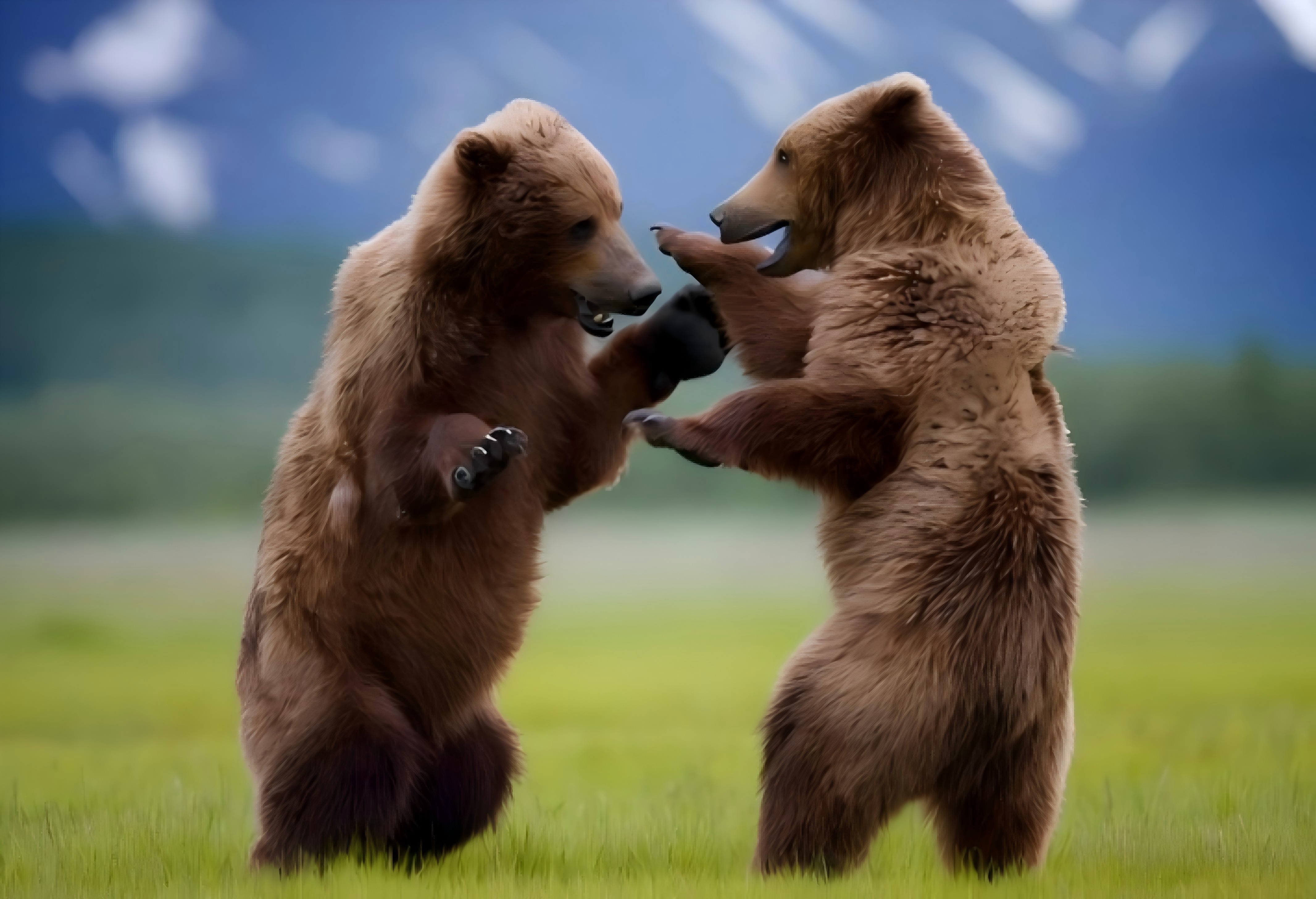 <壮美冰川+极地生物+淘金重镇+图腾公园>美国、加拿大