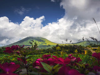 托莫洪日游 景点模块