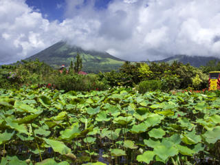 托莫洪日游 景点模块