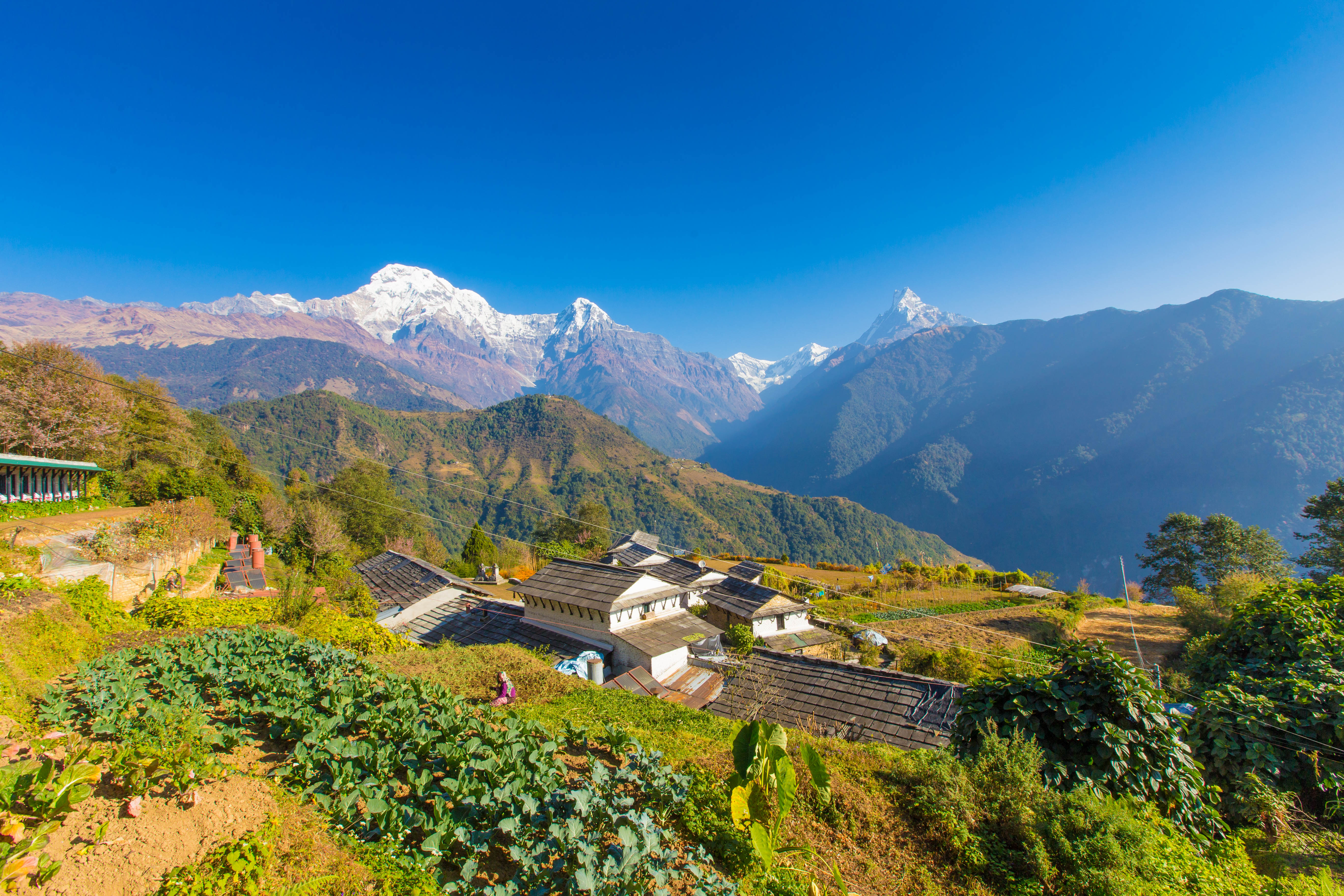景点模块 