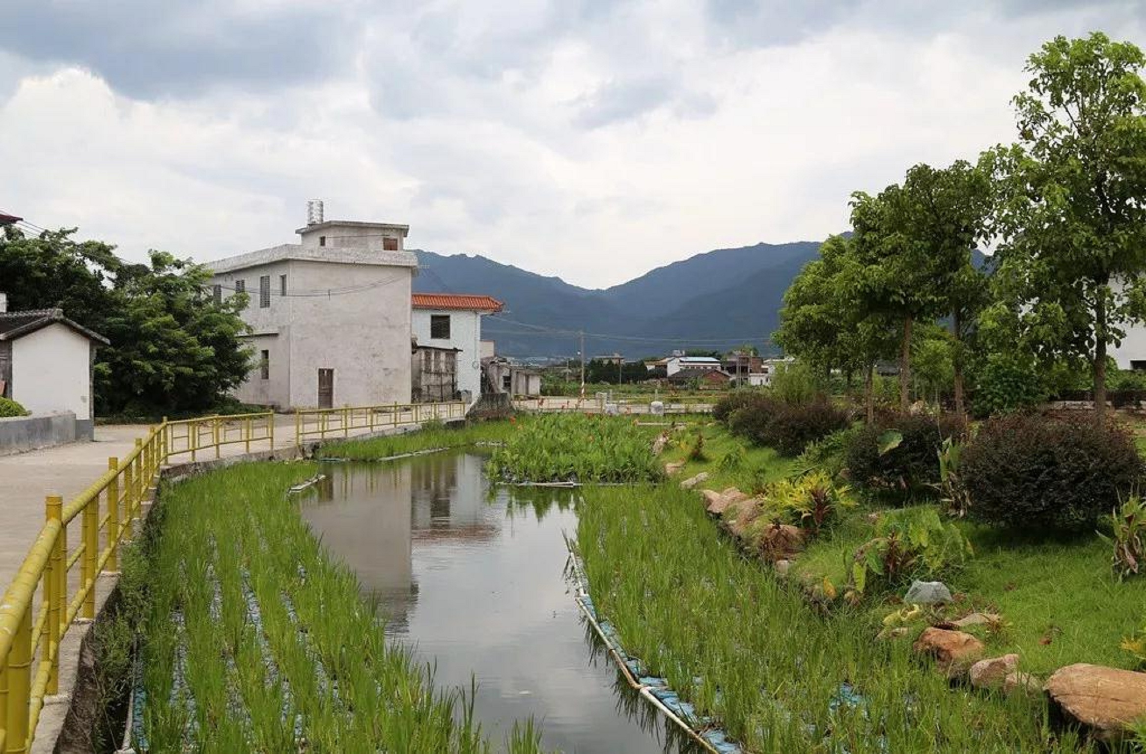 <梅州蕉岭长潭+泮坑风景区+长寿村+河源美思威尔顿3日游>泮坑水杉秋色、岭南日月潭、美思威尔顿酒店享浴温泉，佛山出发