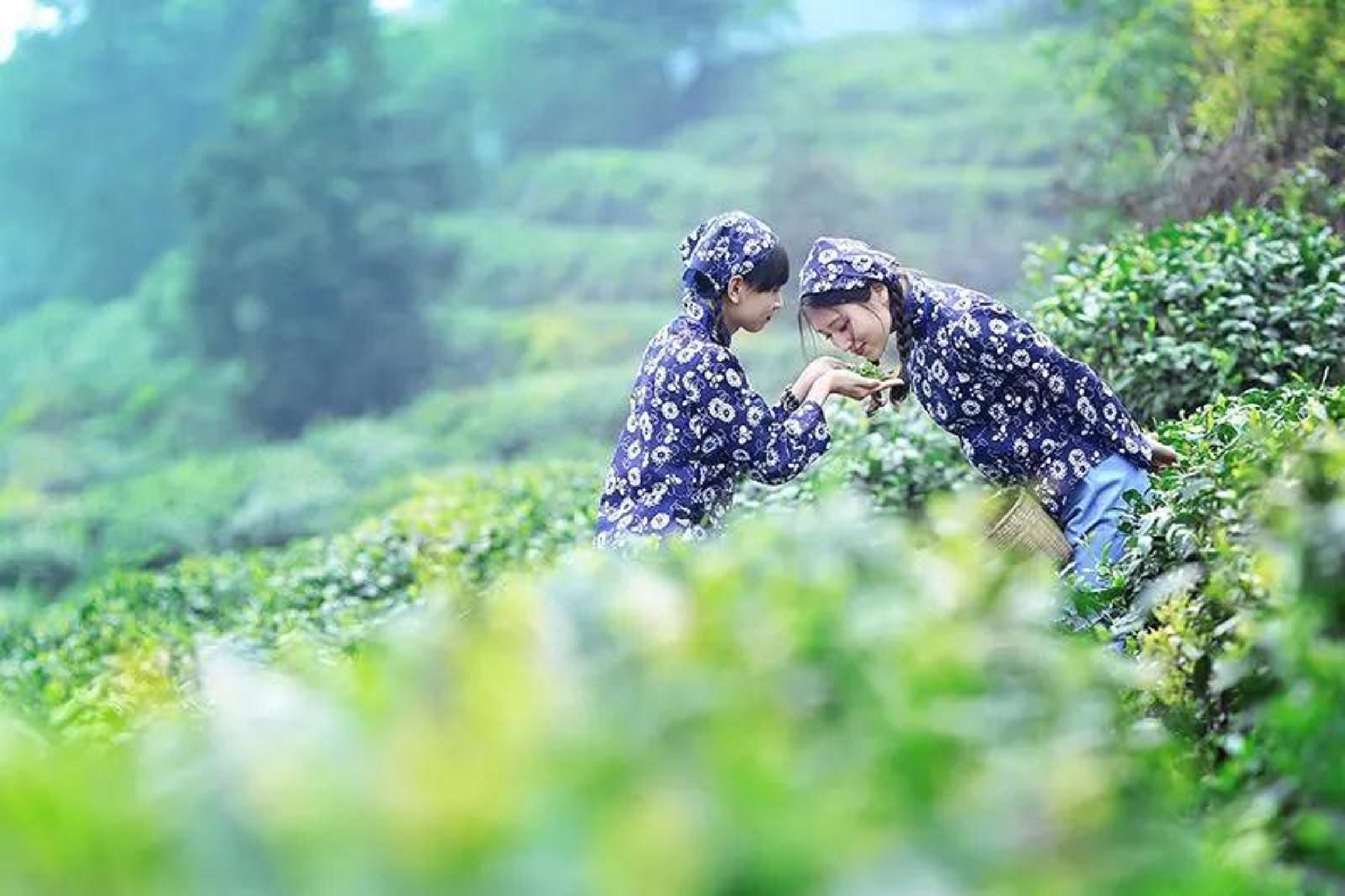 景点模块 