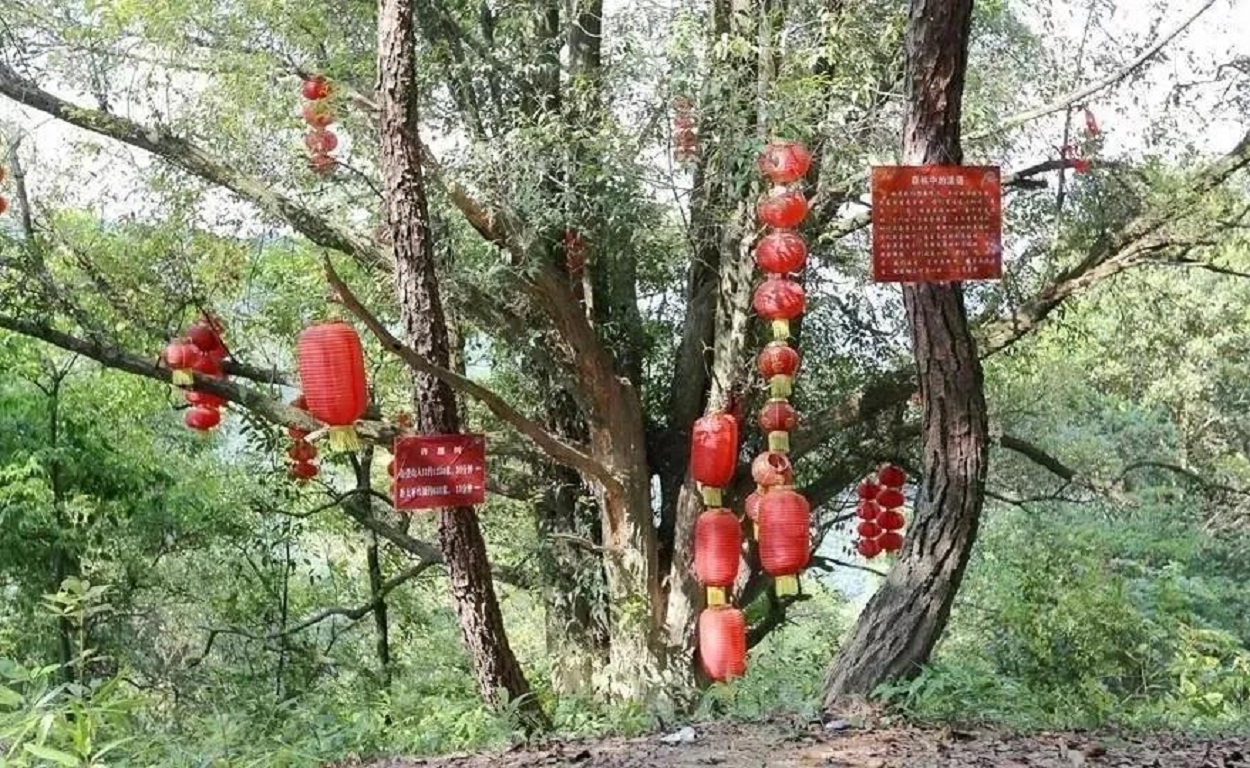 活动模块 