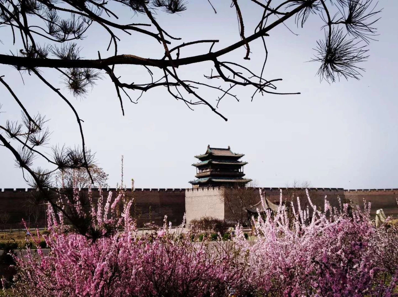 景点模块 