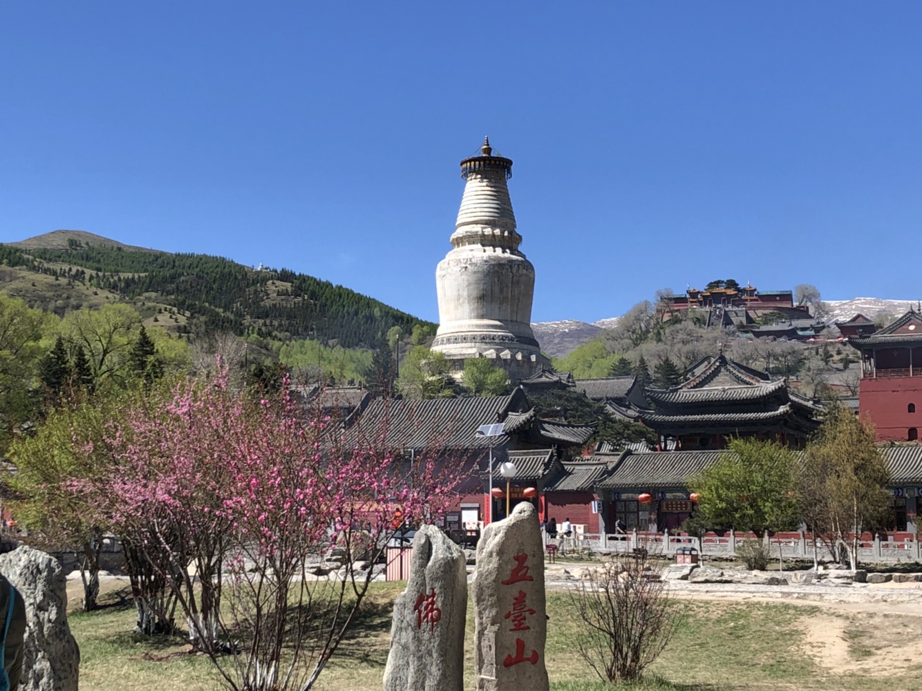 景点模块 