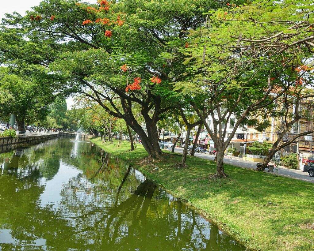景点模块 