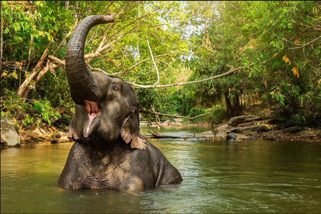 景点模块 
