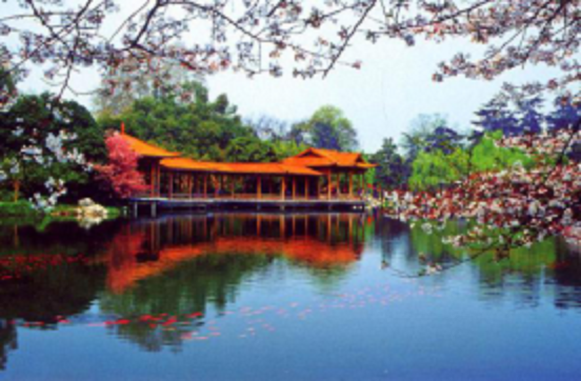 景点模块 