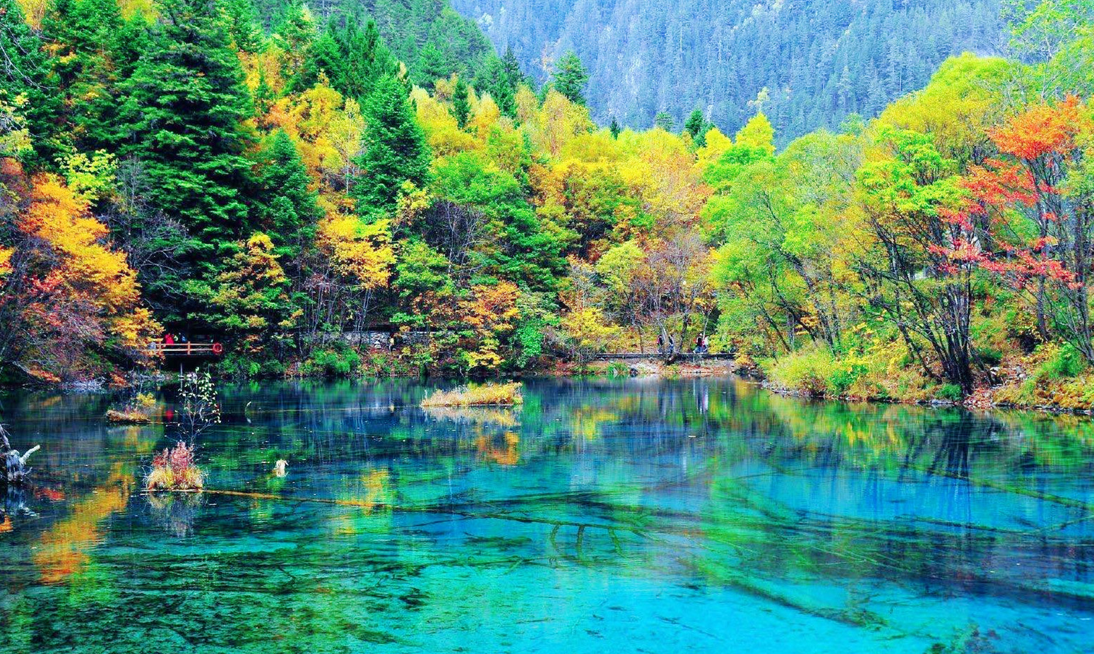 景点模块 