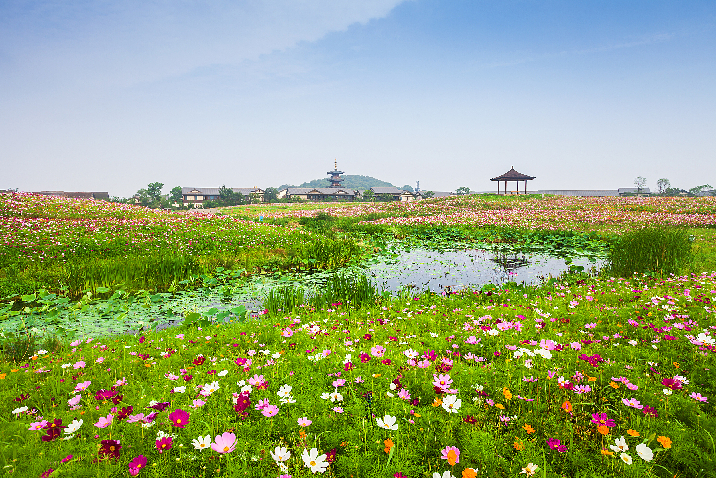 景点模块 