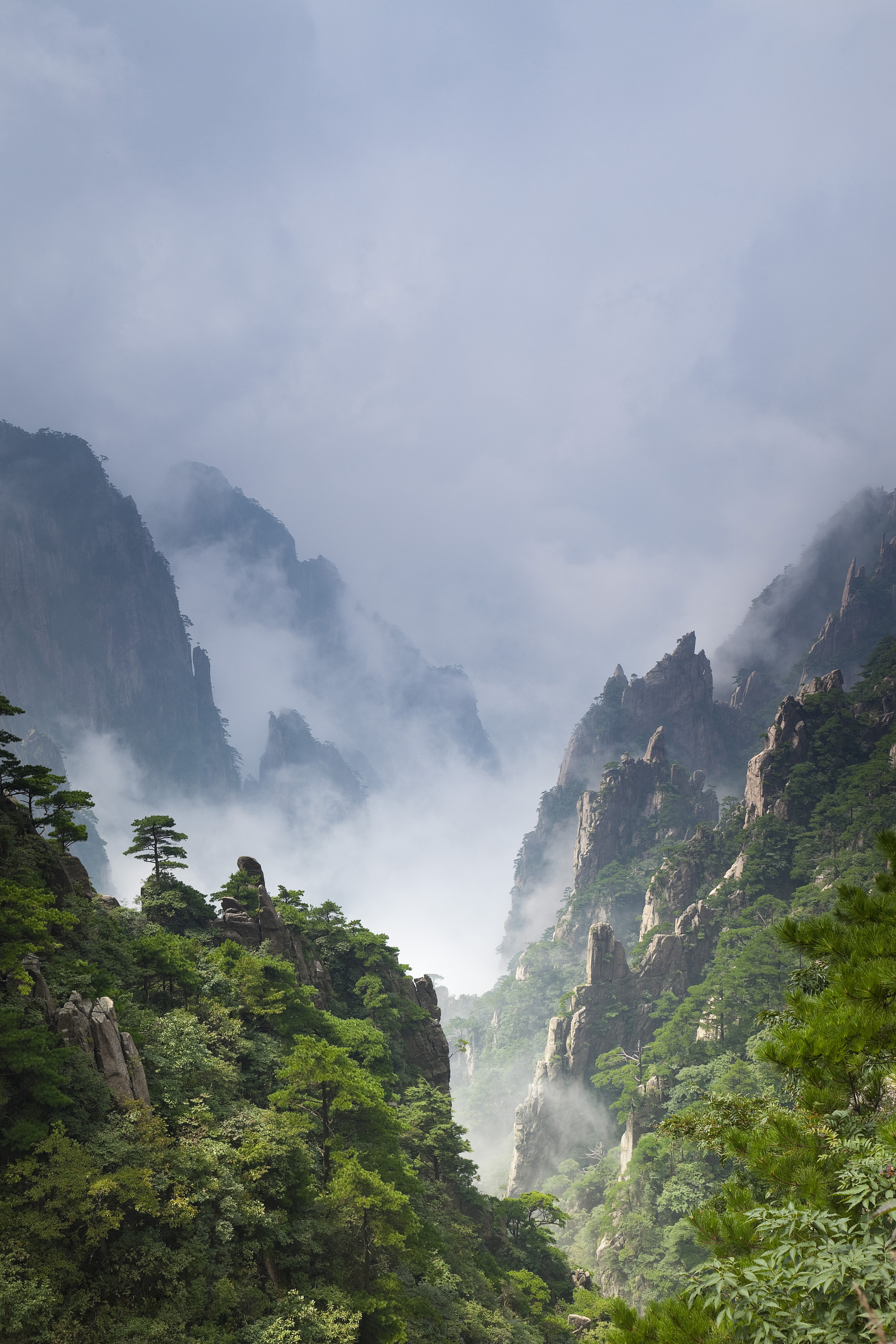  黄山1日游>黄山市区参团,上门接送,一人成团,纯玩无购物,一日览遍