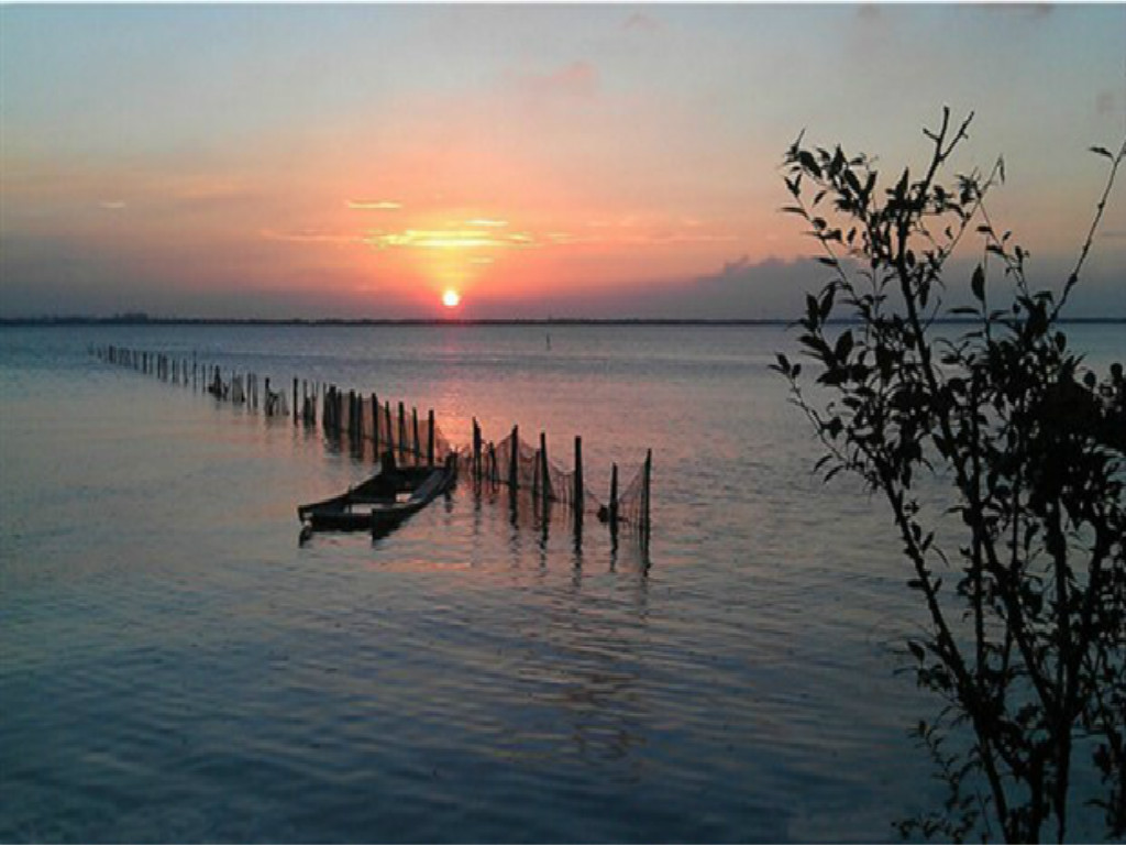 巴城阳澄湖湿地公园