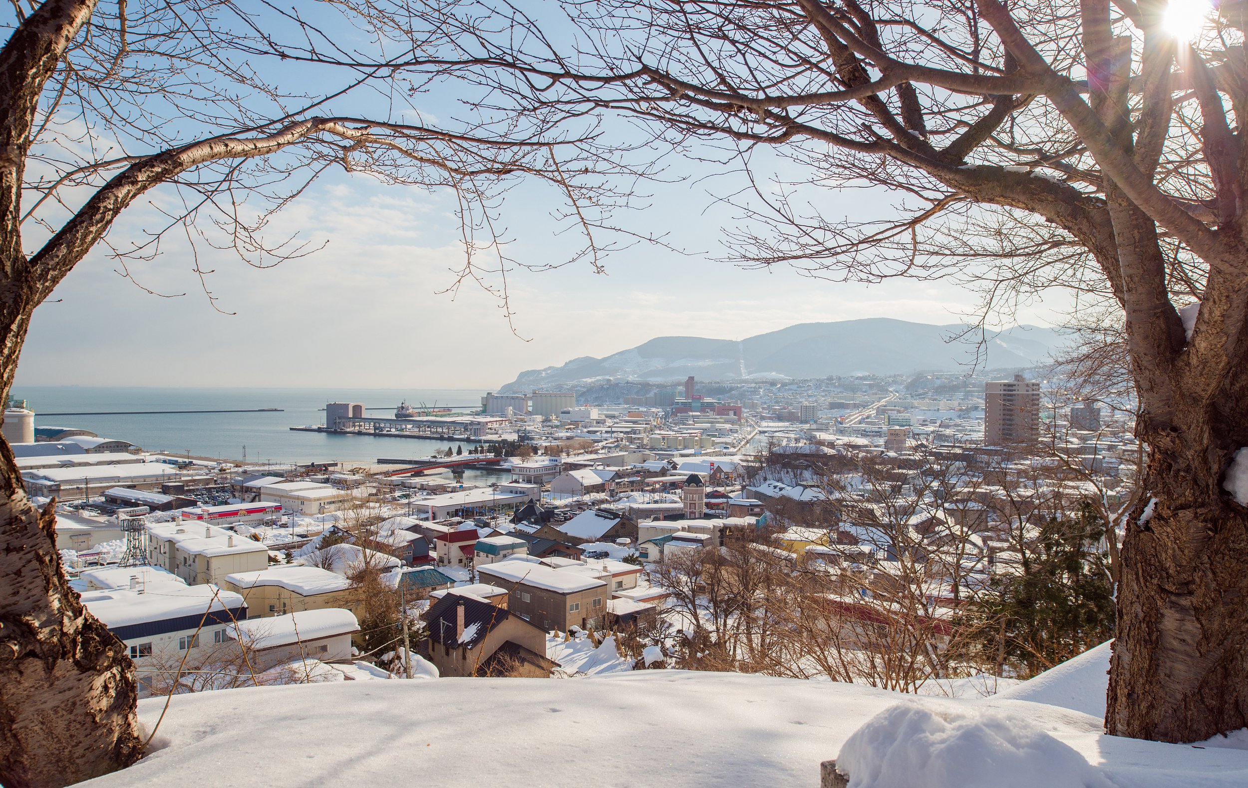 春节 日本北海道7日游 牧羊人体验 札幌白色灯树节 阿寒湖游船 四姐妹居酒屋 白色恋人城堡邂逅 温泉酒店 北海道三大螃蟹畅吃 出发 途牛