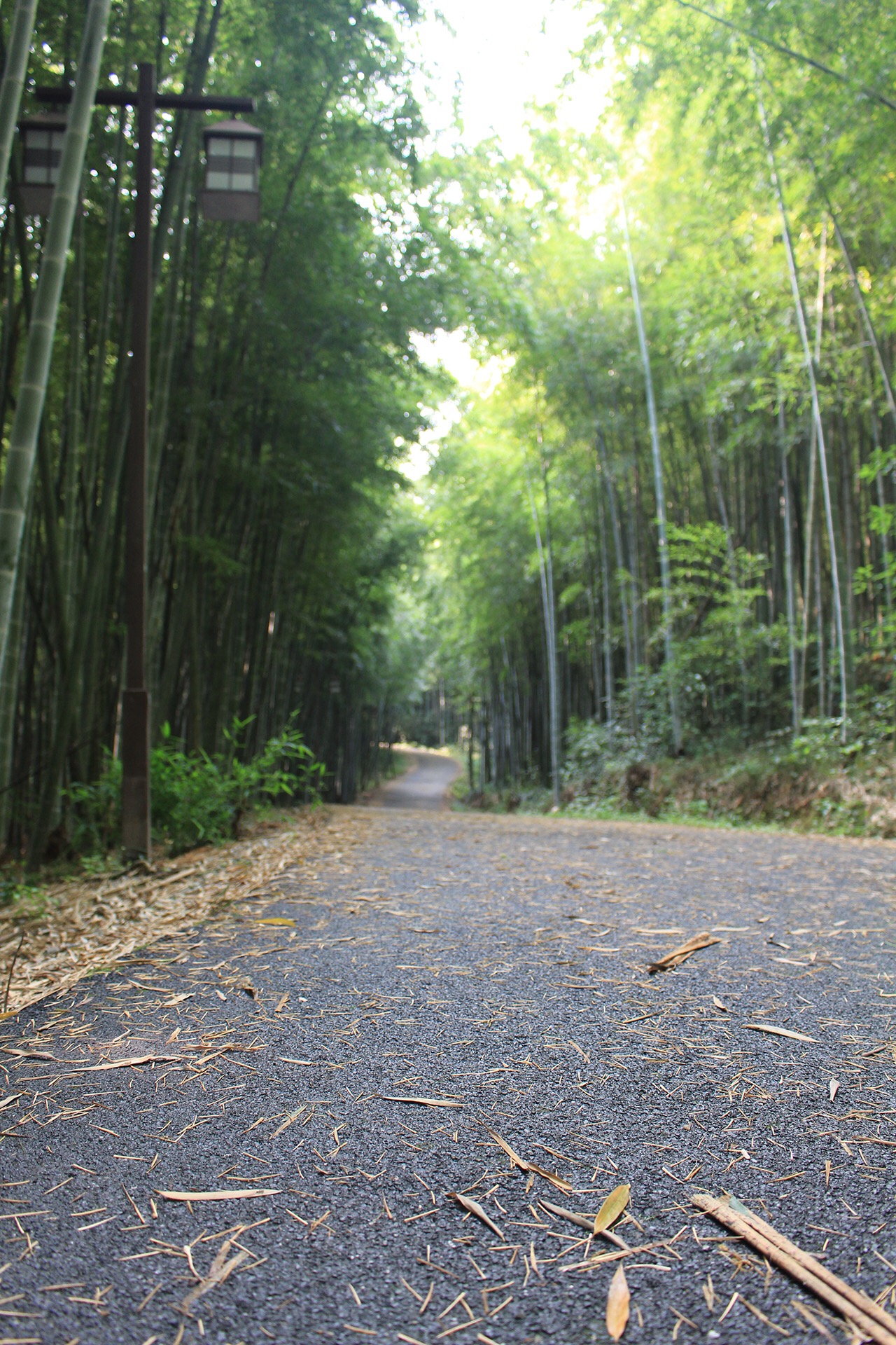 景点模块 