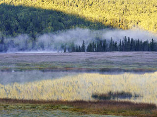 喀纳斯,鸭泽湖,早晨,白色,线条,秋天,镜子,金色,平流雾,喀纳斯河 景点模块