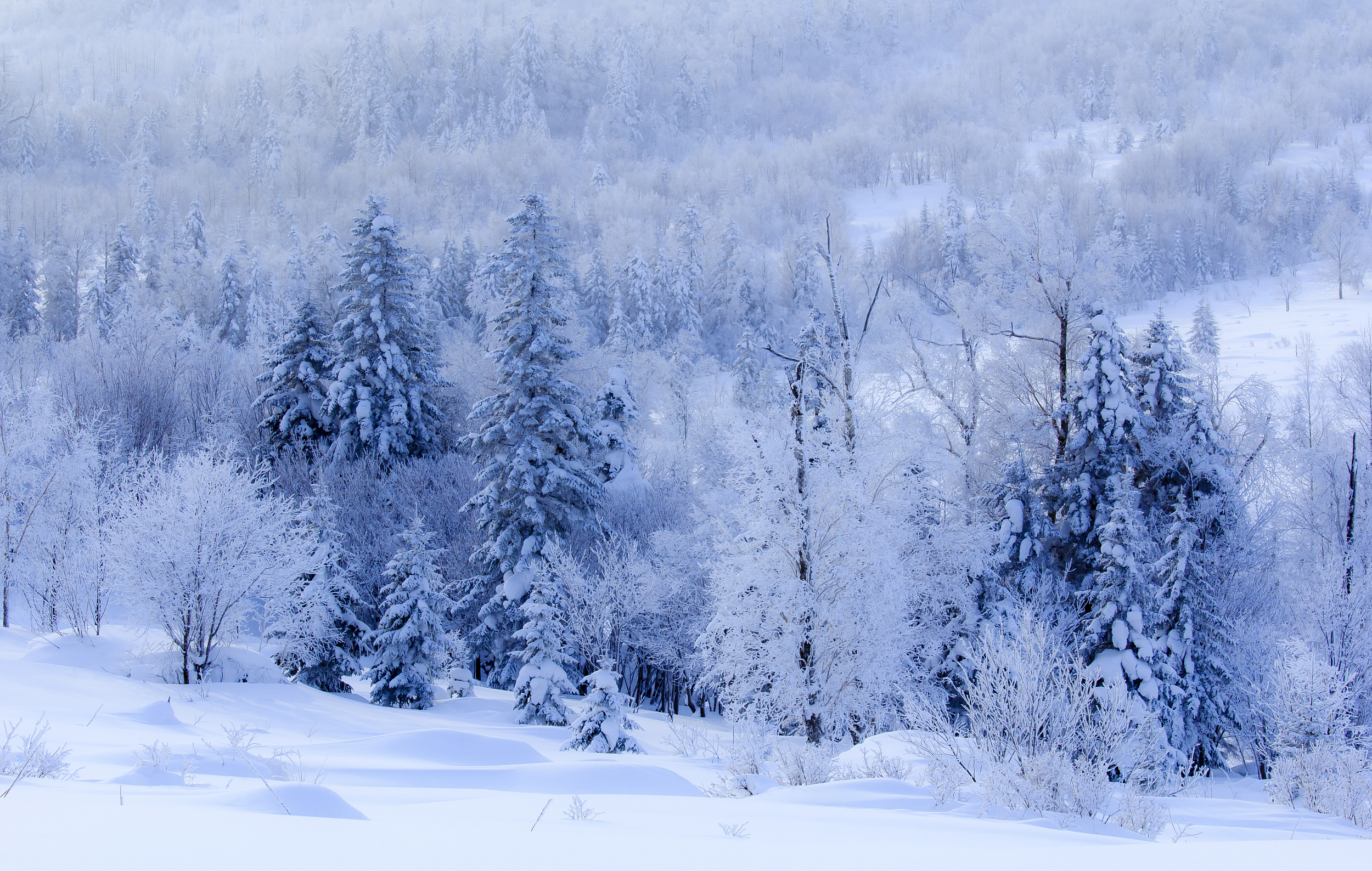内蒙阿尔山5日游-途牛