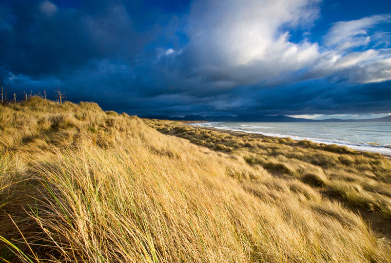 三亚西岛+天涯海角一日 品质旅行 含船票 纯玩