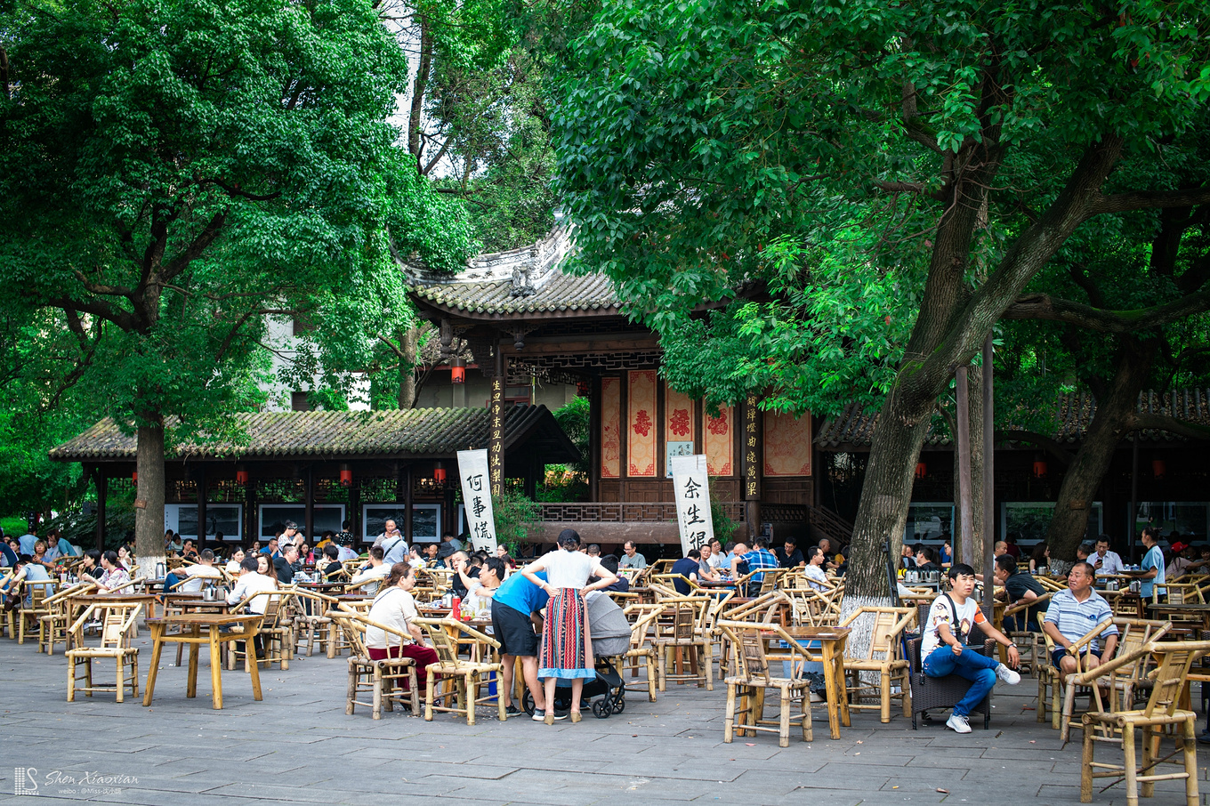 成都,市井间最真实的人间烟火【首发】